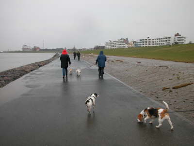 Die sch�ne Promenade zum F�hrhafen 