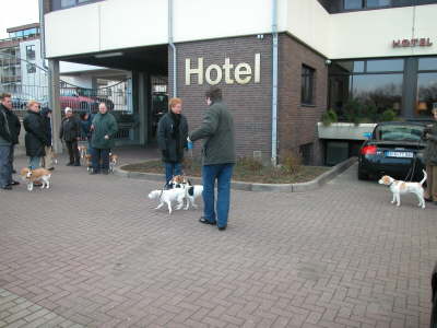 Der Sonntagsspaziergang 