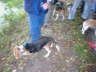 DSCN0060