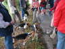 DSCN0064