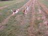 DSCN0078
