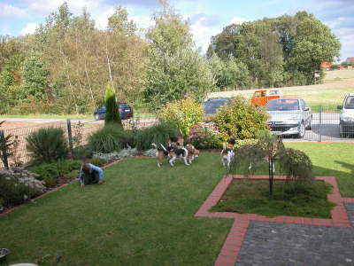 DSCN0090