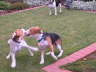 DSCN0093