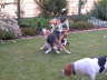 DSCN0096