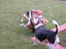 DSCN0097