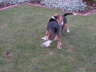 DSCN0101
