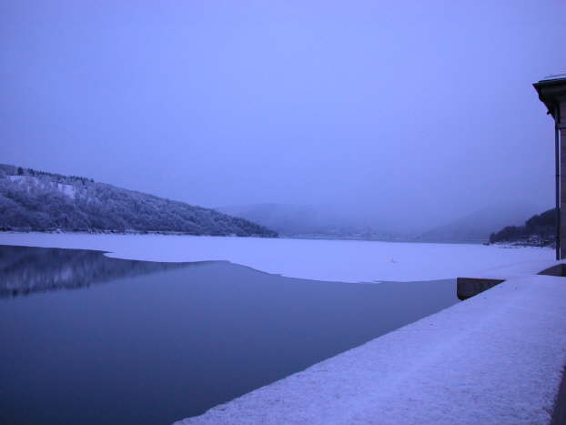 DSCN0329
