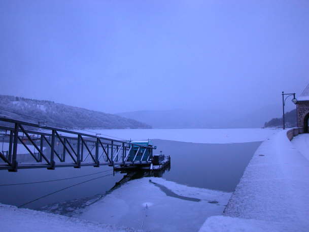 DSCN0333