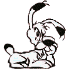 dog33